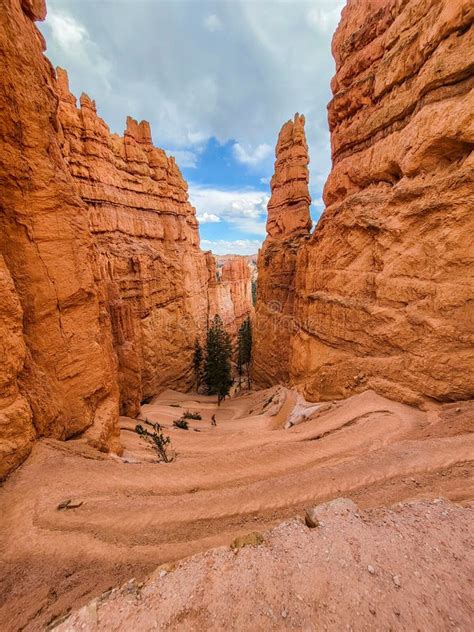 Bryce Canyon National Park Wall Street View Tall Orange Rock Formation