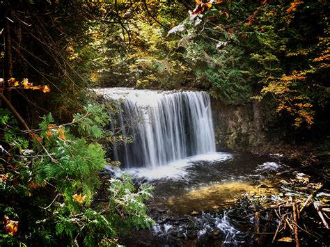 Free Images Landscape Tree Nature Forest Waterfall Wilderness Leaf River Stream