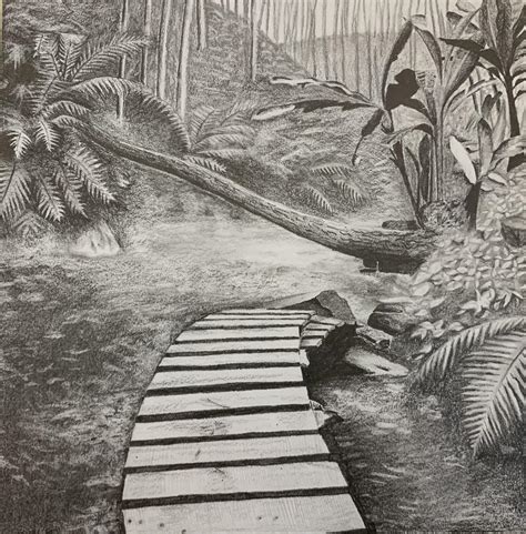 Jungle Pencil Drawing