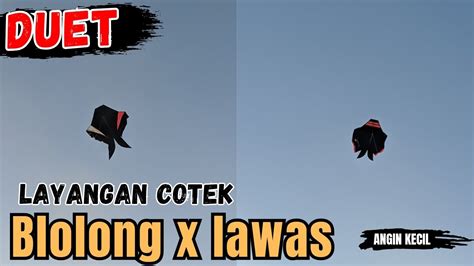 Duet Layangan Cotek Blolong X Lawas Angin Nya Kecil Layangan