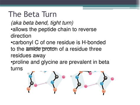 PPT - Proteins: Structure and Function PowerPoint Presentation, free ...