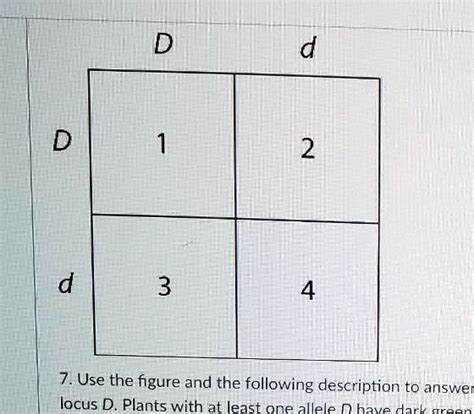 Use The Figure And The Following Description To Answer The Questions