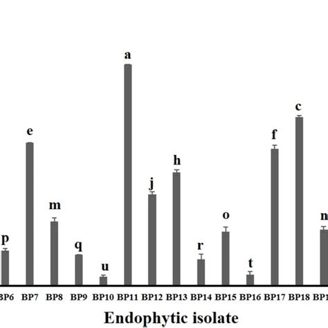 In Vitro Antifungal Screening Of The Endophytic Isolates Against The