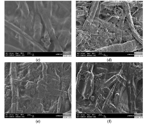 Scanning Electron Microscopy SEM Images Of Uncoated And Coated Paper