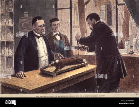 Louis Pasteur 1822 1895 French Chemist And Microbiologist Experimenting On A Chloroformed