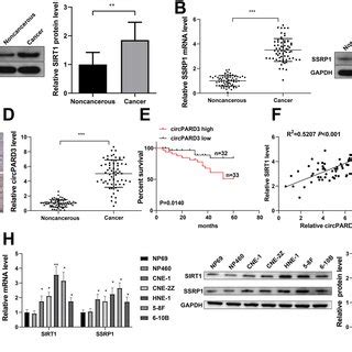 EBV MiR BART4 Induced Stemness And Cisplatin Resistance In NPC SP