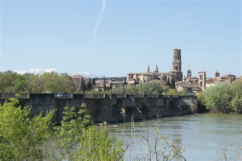 Celebrate Swarm Season with Photos of Mayflies Swarming a Medieval