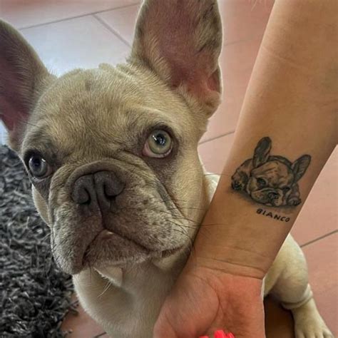 French Bulldog Tattoo