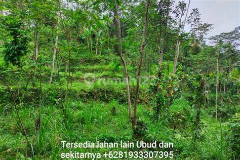 Di Jual Tanah Murah Los Sungai Terdapat Sumber Mata Air Terdapat