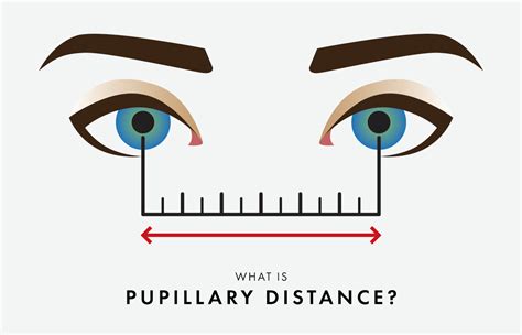 How To Measure Your Pupillary Distance [step By Step Guide] Privé Revaux