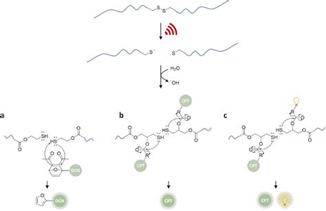 US Induced Scission Of Disulfide Centered Polymers And Release Of Drug