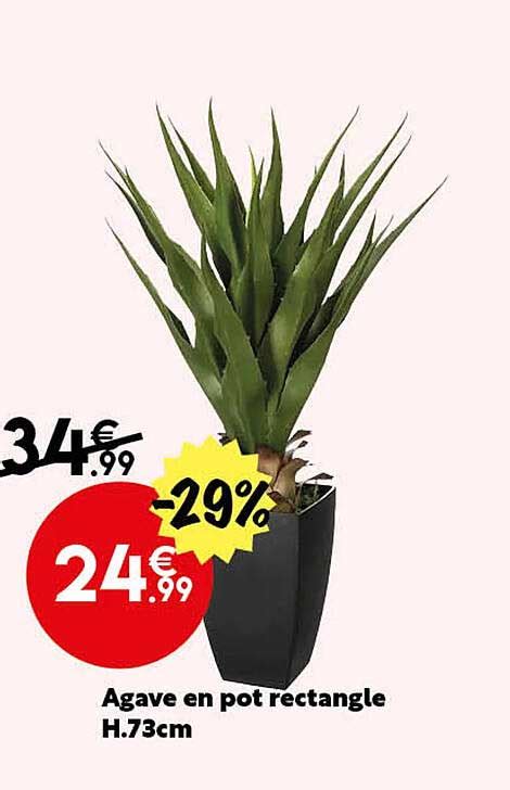 Promo Agave En Pot Rectangle H 73 Cm Chez Maxi Bazar ICatalogue Fr