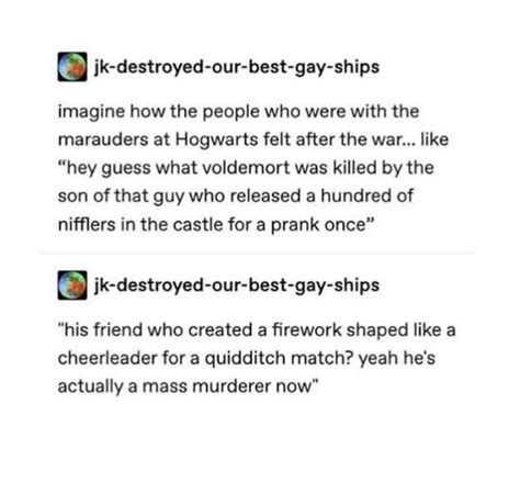 Pin By Bianca Avaro On Harry Potter In Sassy Harry Potter Gay Harry Potter Harry Potter