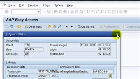 Sap Gui For Windows Guideadventures