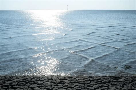 El Misterio De Las Olas Cuadradas C Mo Se Forman