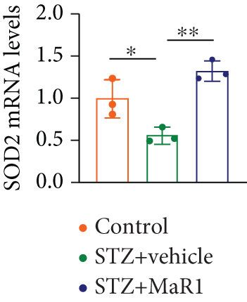 Mar Reversed High Glucose Induced Ros Overproduction Through Camp Sod