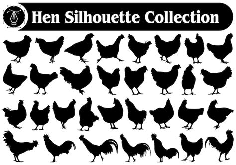 Colección De Vectores De Siluetas De Gallo O Gallina Vector Premium