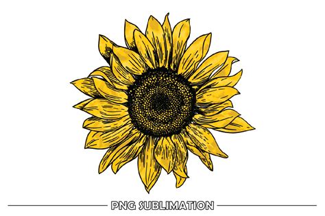 Vintage Yellow Sunflower Sublimation Graphic By Smart Crafter · Creative Fabrica