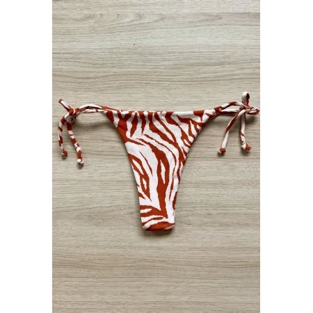 CALCINHA BASIC ZEBRA COBRE Biquíni Cortininha Asa Delta Hot Pants e Mais Vibe Bikinis