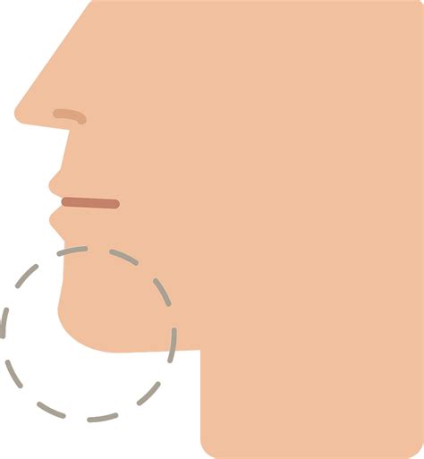 Chin - Free vector clipart images on creazilla.com