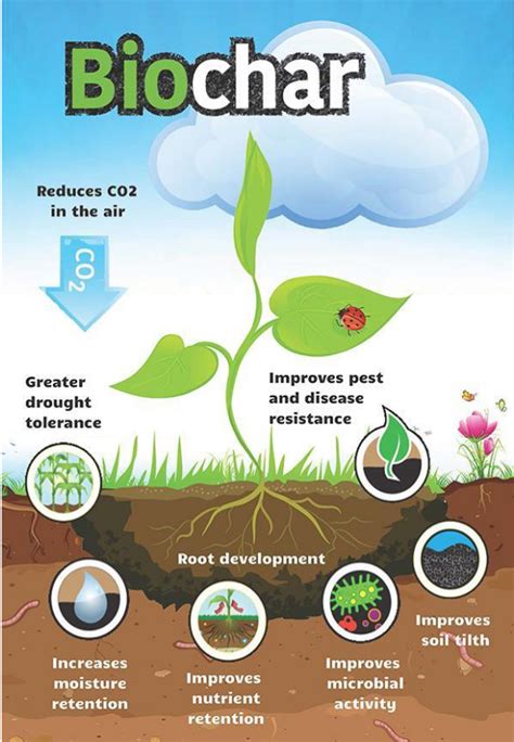 Biochar Unfolding New Chapters Of Sustainable Energy