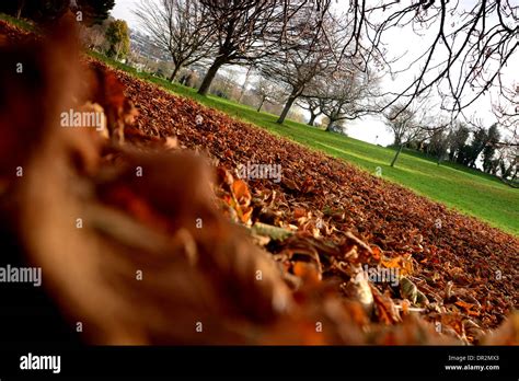 Central Park in Plymouth Devon Stock Photo - Alamy