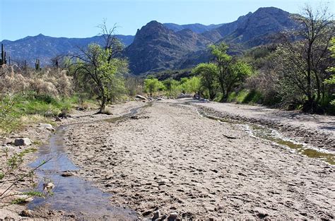 Rutas De Senderismo Mejor Valoradas En Tucson Bookineo