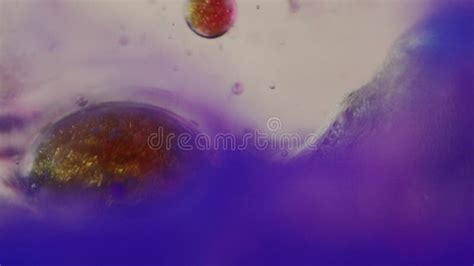 Oil Droplet Gel Bubbles Neon Blue Purple Fluid Stock Video Video Of