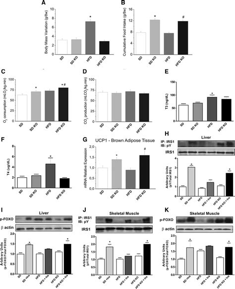 Outcomes Of Dio In Tnfr1 Ko Control And Tnfr1 Ko Mice Were Fed Either