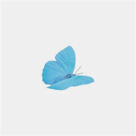 A Blue Butterfly Flying In The Sky