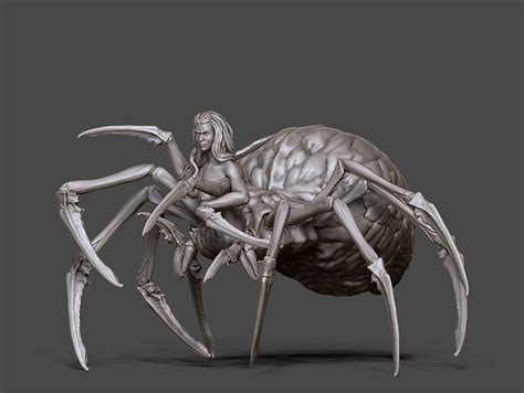 Real Arachne Spider