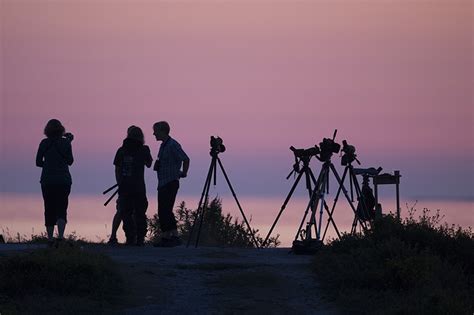 Is A Bird Spotting Scope Worth It Heres How To Decide