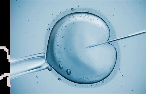 What Is The Difference Between Ivf And Icsi Tfp Fertility Uk