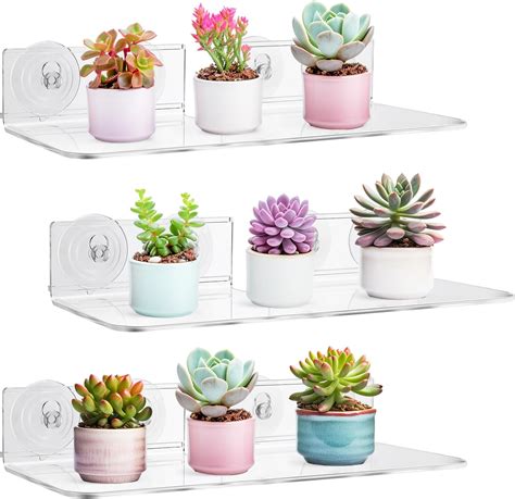 Amazon Suzile 3 Pack 15 Inch Acrylic Window Shelf For Plants