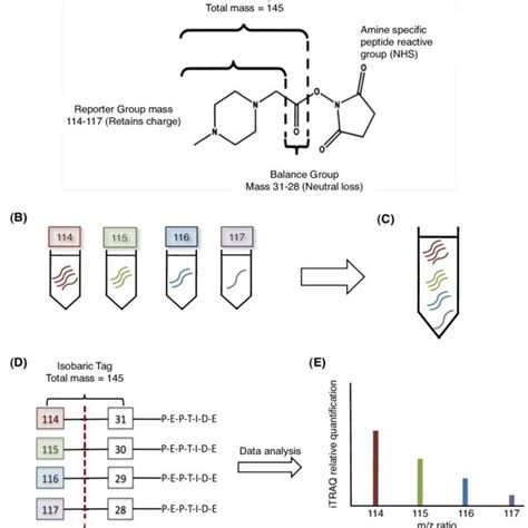 2: Peptide sequencing by tandem mass spectrometry. The first MS ...