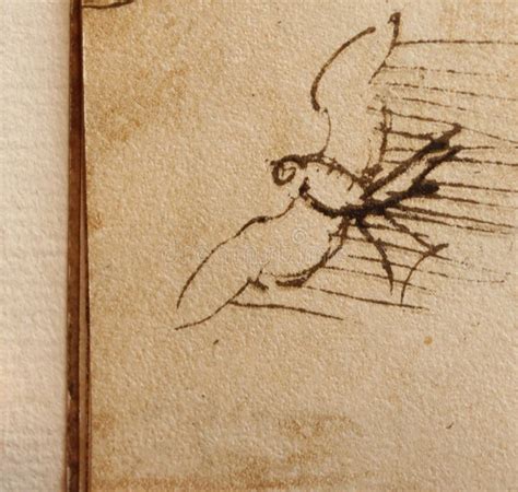 Manuscript, Drawings, Bird S Flight by Leonardo Da Vinci in the Old ...