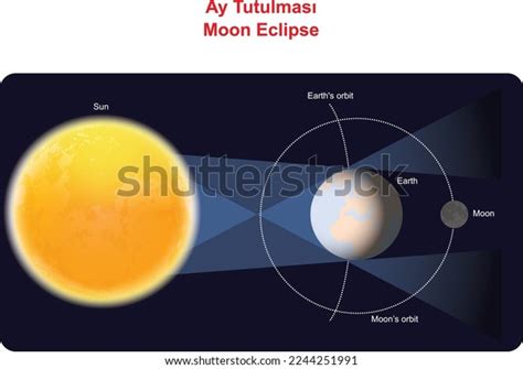 Lunar Eclipses Sun Earth Moon Illustration Stock Vector Royalty Free