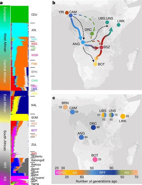 Population Admixture And Genetic Ancestry Among African Populations A