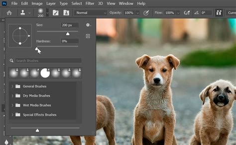 The Beginner S Guide To Clone Stamp Tool In Photoshop PSD Vault