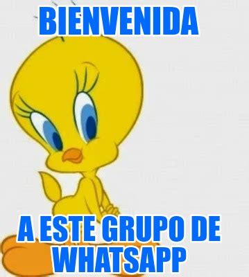 Meme Creator Funny BIENVENIDA A ESTE GRUPO DE WHATSAPP Meme Generator