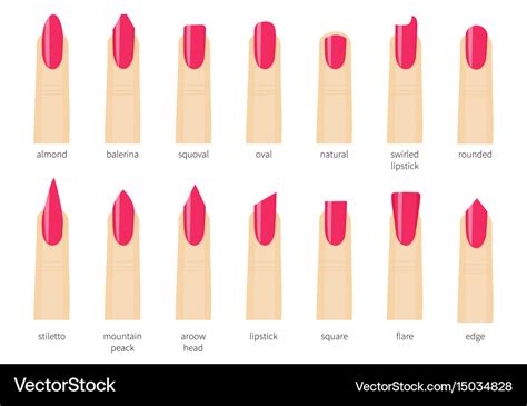 Types Of Nail Shapes And Names