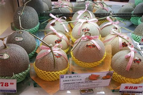 Buah Paling Mahal Di Jepang Ada Melon Seharga Ratusan Juta