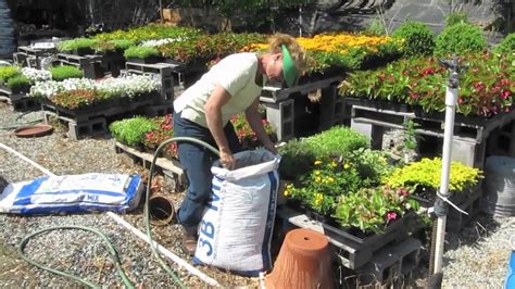 How To Fill A Container With Soil At Desmond Heidi Blog