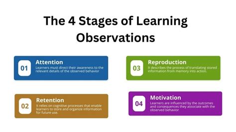 Observaciones De Aprendizaje Mejor Definición Y Ejemplos