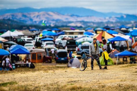 Camping At A Festival And What To Bring - The Festival Voice