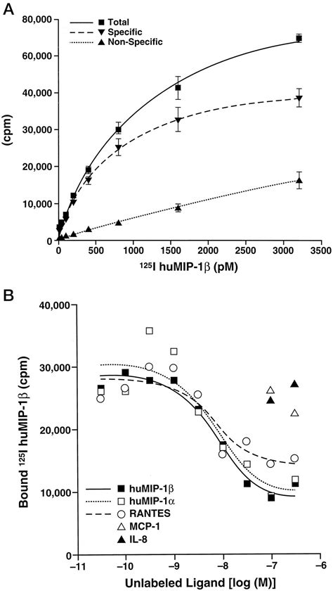 Molecular Cloning And Functional Characterization Of A Novel Human Cc