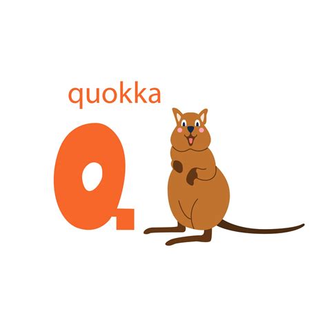 söta quokka kort alfabetet med djur färgglad design för att lära barn