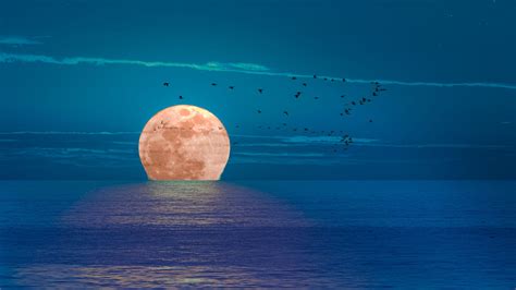 Moon and Sea Wallpapers - 4k, HD Moon and Sea Backgrounds on WallpaperBat