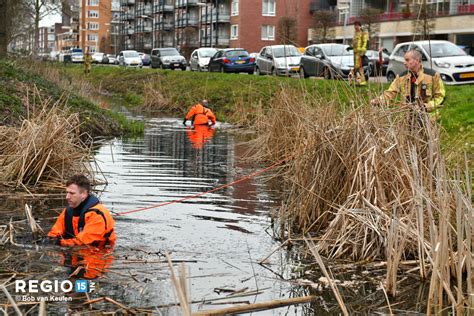 Voorbijgangers Grijpen Berover In De Kladden Regio Nl