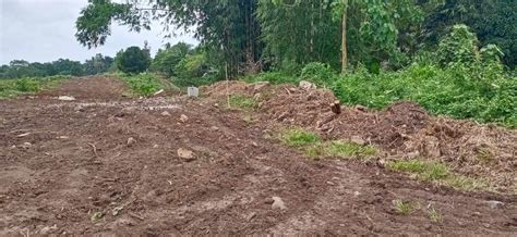 4 Hectares Lot For Sale Tacunan Tugbok Davao City Filipino Homes
